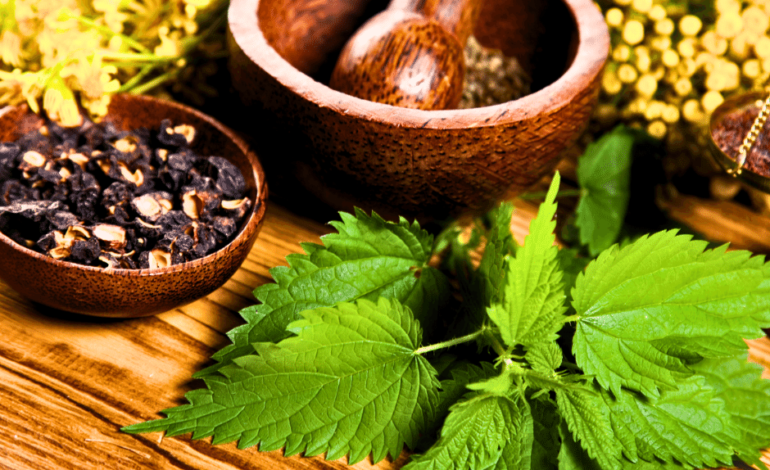 5 Important Facts That You Should Know About Natural Remedies